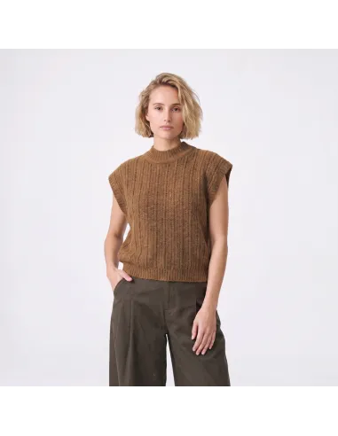 PULL LUNAIA, Camel