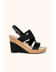 Compensées MELINE 2